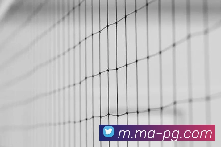 App Interface Preview